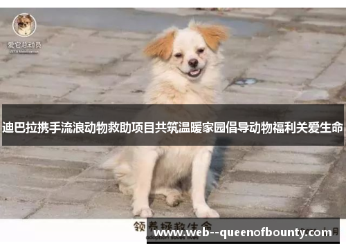 迪巴拉携手流浪动物救助项目共筑温暖家园倡导动物福利关爱生命