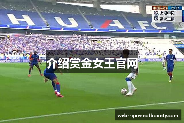介绍赏金女王官网